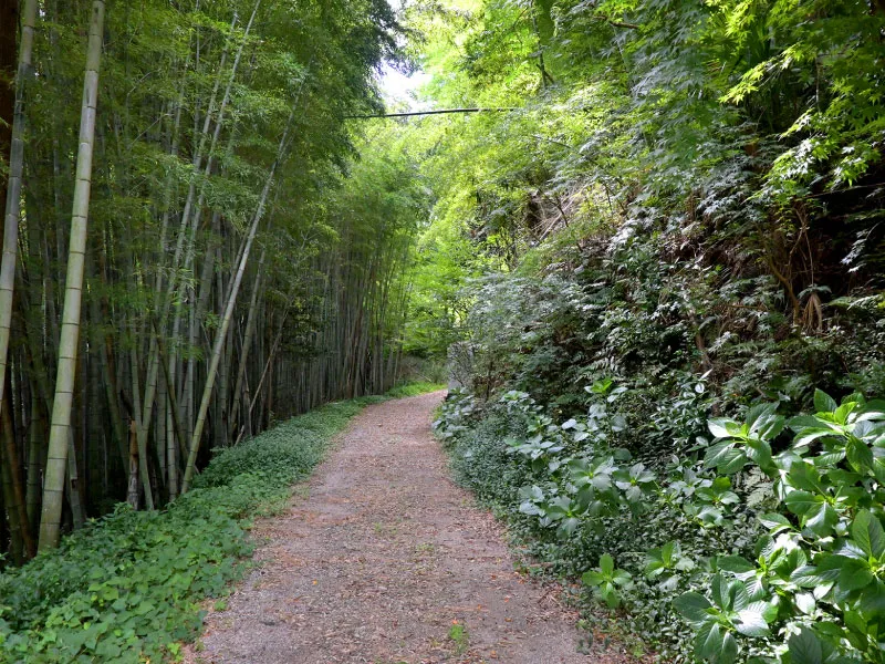 泉徳寺福寿霊園のサブイメージ2枚目